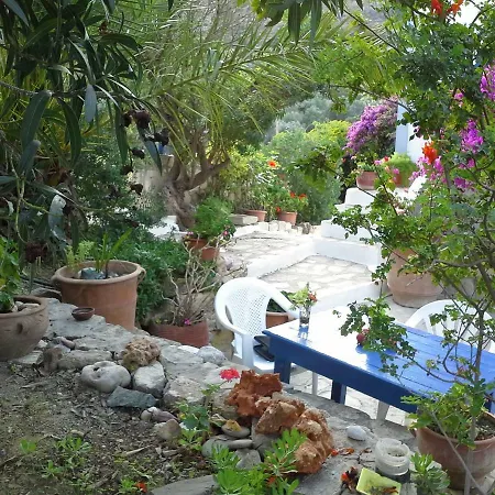 Aloni Apartment