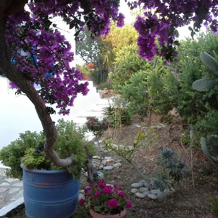 Aloni Apartment Kamilari
